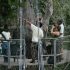 The Canopy Walkway